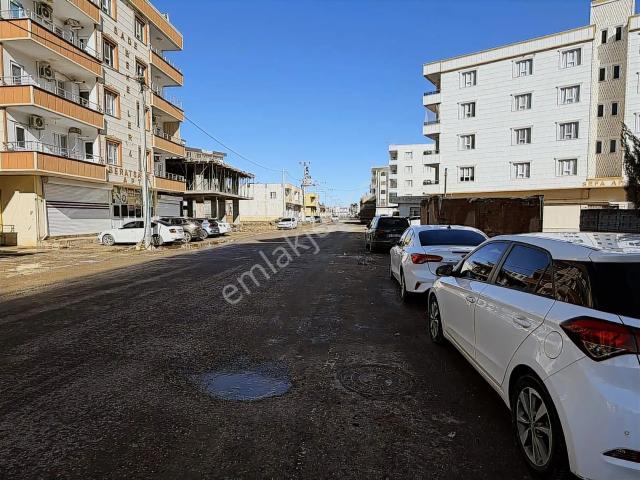 Ceylanpinar, Şanliurfa içerisinde kiralık mülk