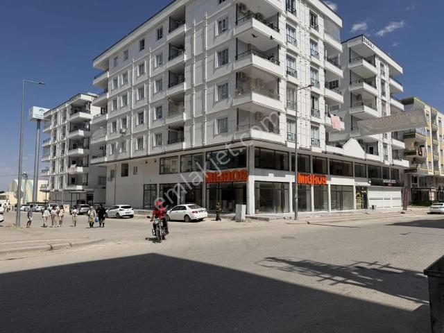 Ceylanpinar, Şanliurfa içerisinde kiralık mülk