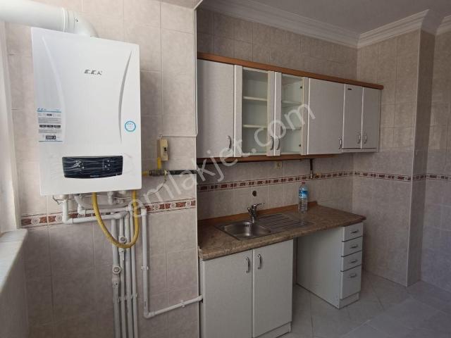 Körfez, Kocaeli içerisinde kiralık mülk