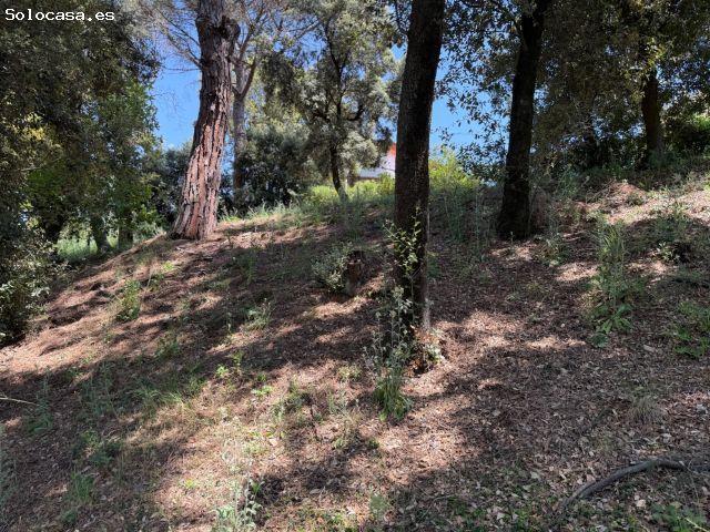 Local Comercial en venta en Vallès Oriental, Catalunya