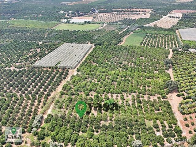 Akdeniz, Mersin içerisinde satılık mülk