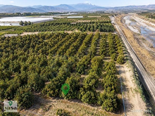 Akdeniz, Mersin içerisinde satılık mülk
