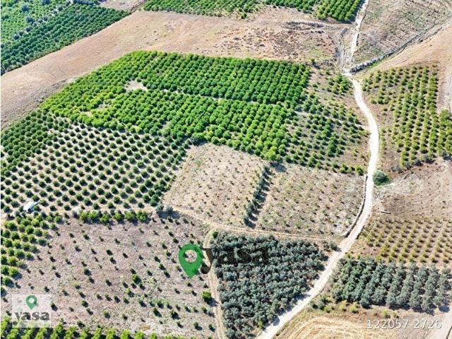 Mezitli, Mersin içerisinde satılık mülk