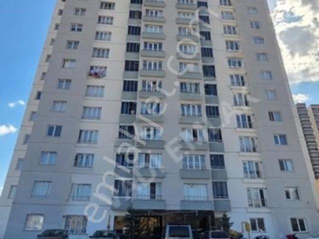 Tokat Merkez, Tokat içerisinde kiralık mülk