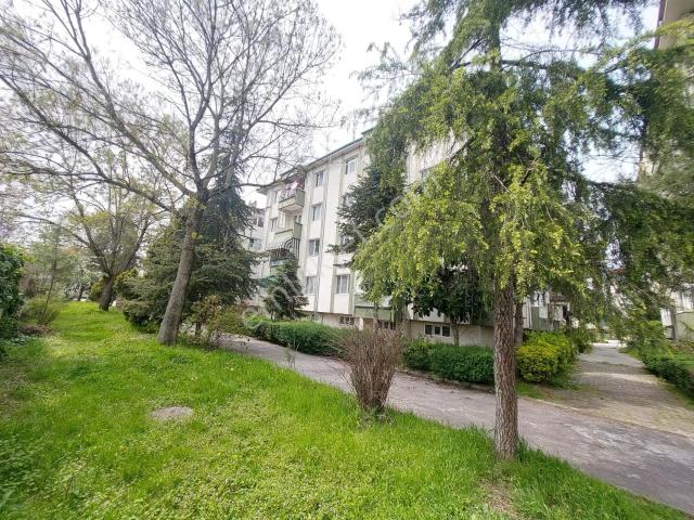 Adapazari, Sakarya içerisinde kiralık mülk