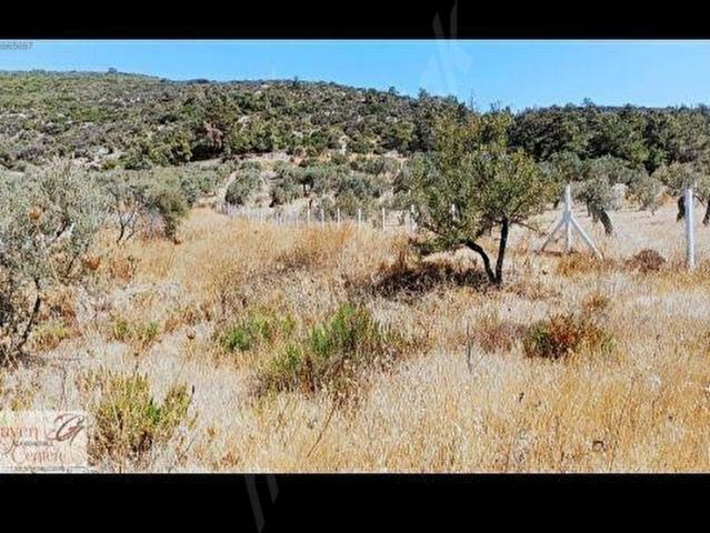 Selçuk, İzmir içerisinde satılık Arsa