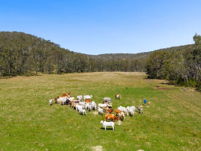 Cottage for sale in Upper Pilton, Queensland