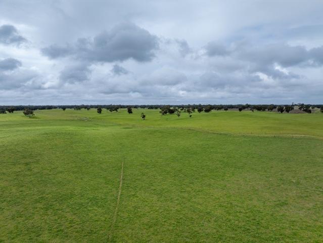 Acreage for sale in Bordertown, South Australia