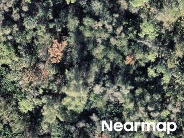 Land for sale in Punta Gorda, Florida