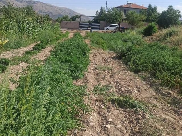 Çiğilli Mahallesi, Yahyalı içerisinde satılık Arsa