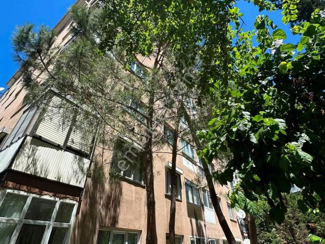 Kartal, İstanbul içerisinde kiralık mülk