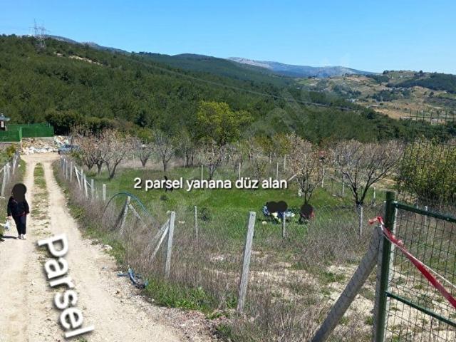 Bornova, İzmir içerisinde satılık mülk