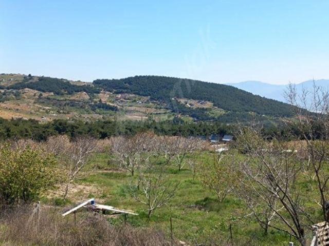 Bornova, İzmir içerisinde satılık mülk