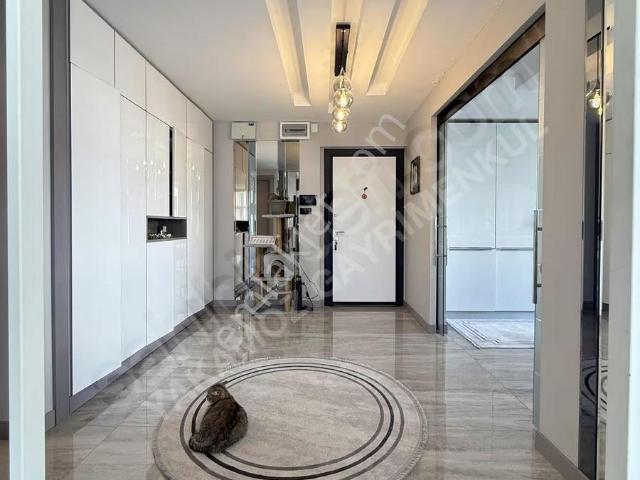 Sivas Merkez, Sivas içerisinde kiralık mülk