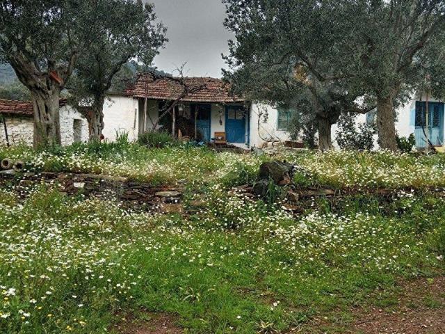 Bayindir, İzmir içerisinde satılık Arsa