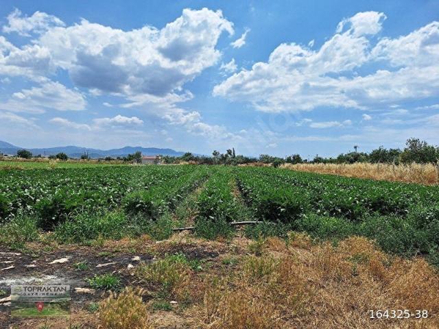 Bayindir, İzmir içerisinde satılık Arsa