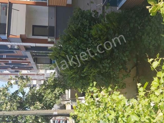 Beylikdüzü, İstanbul içerisinde kiralık mülk