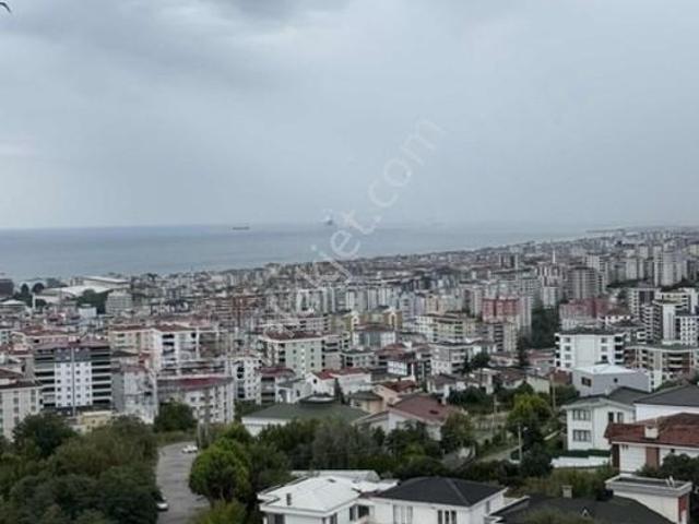 Alanlı Mahallesi, Atakum içerisinde kiralık mülk