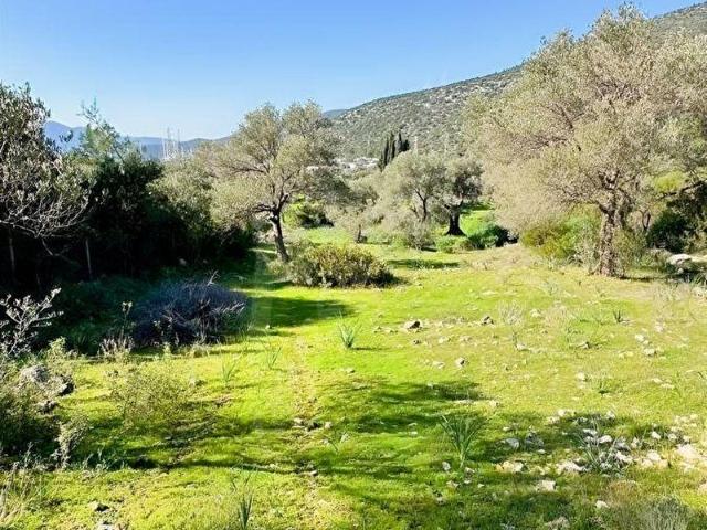 Bodrum, Muğla içerisinde satılık Arsa