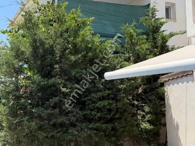 Bodrum, Muğla içerisinde kiralık Villa