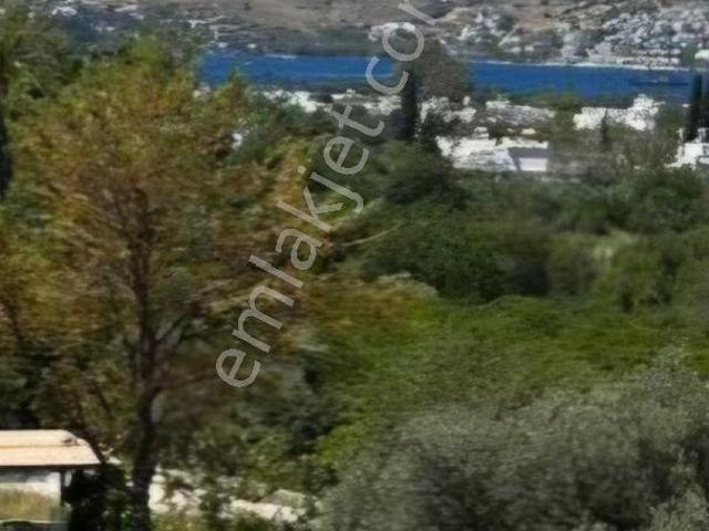 Bodrum, Muğla içerisinde satılık mülk