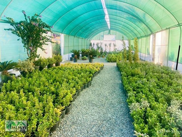 Yalova içerisinde satılık mülk