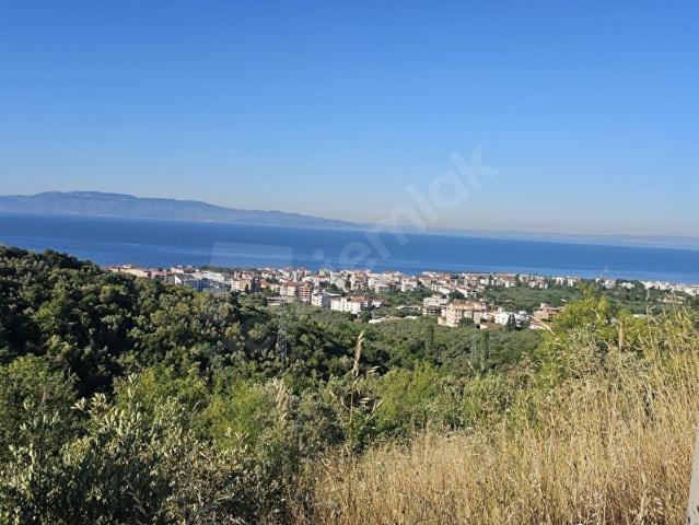 Armutlu, Yalova içerisinde satılık mülk