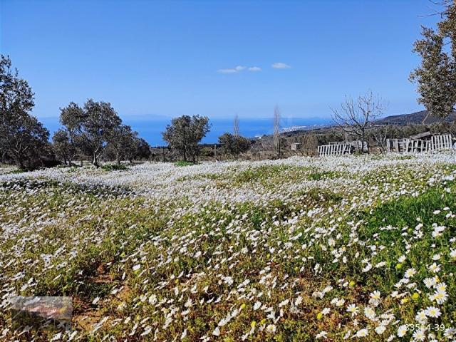 Armutlu, Yalova içerisinde satılık Arsa
