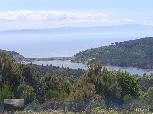 Armutlu, Yalova içerisinde satılık Arsa
