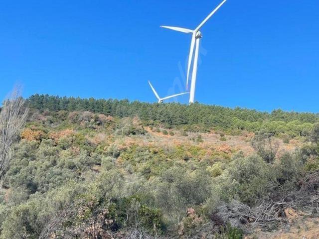 Tavşantepe, Armutlu içerisinde satılık mülk