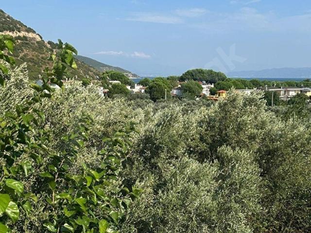 Armutlu, Yalova içerisinde satılık mülk