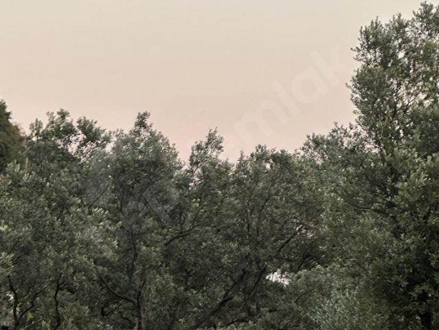 Armutlu, Yalova içerisinde satılık mülk