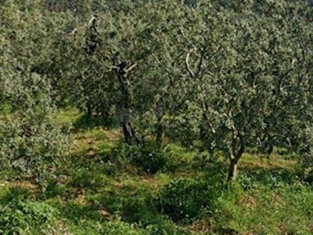 Armutlu, Yalova içerisinde satılık mülk
