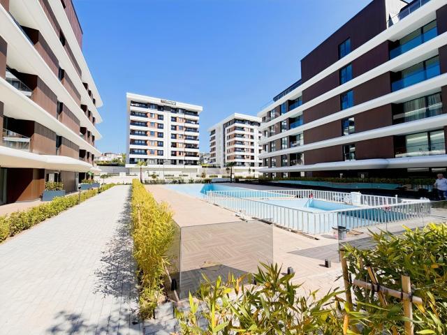 Yalova Merkez, Yalova içerisinde kiralık mülk