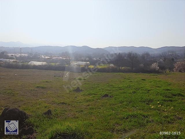Yalova Merkez, Yalova içerisinde satılık Arsa