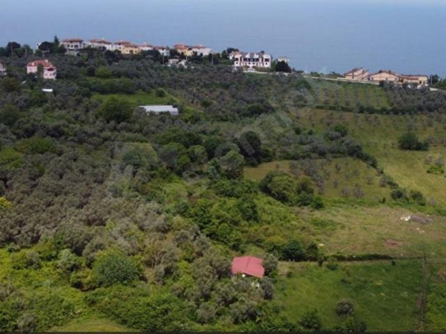 Çinarcik, Yalova içerisinde satılık Arsa