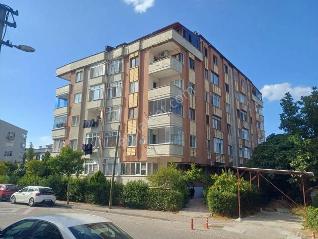 Yalova Merkez, Yalova içerisinde kiralık mülk