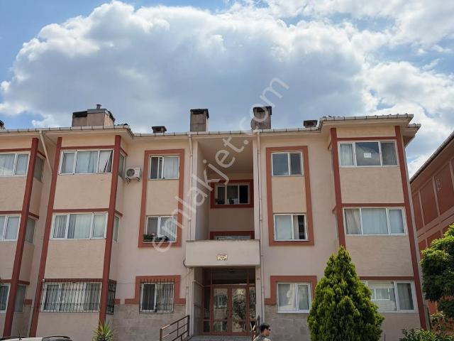 Yalova Merkez, Yalova içerisinde kiralık mülk