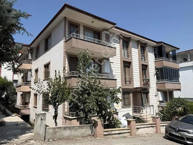 Yalova Merkez, Yalova içerisinde kiralık mülk