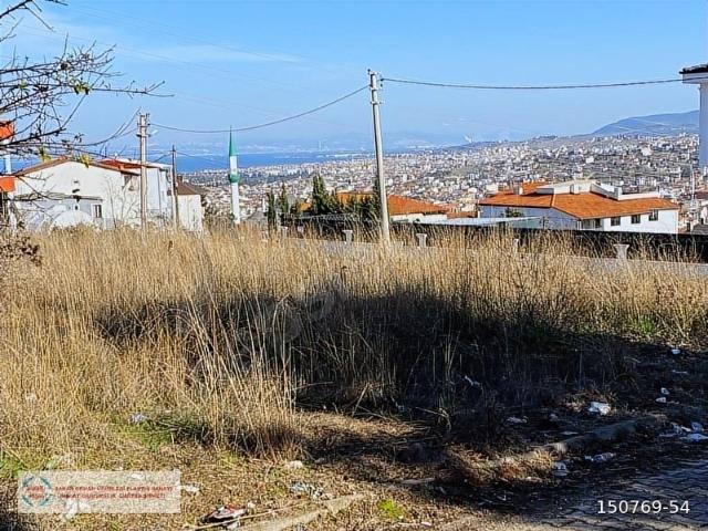 Yalova Merkez, Yalova içerisinde satılık mülk