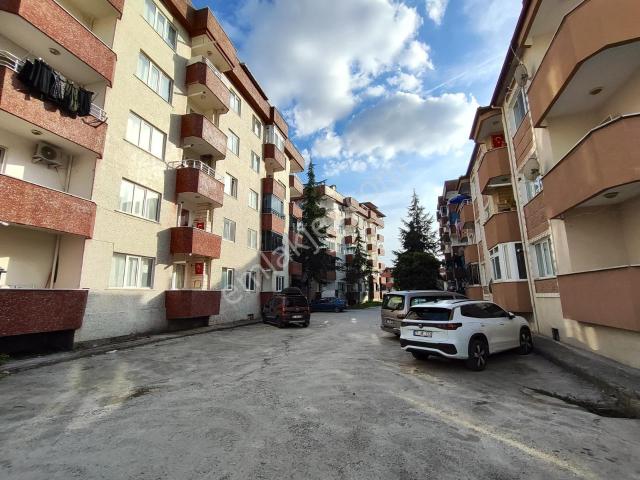 Yalova Merkez, Yalova içerisinde kiralık mülk
