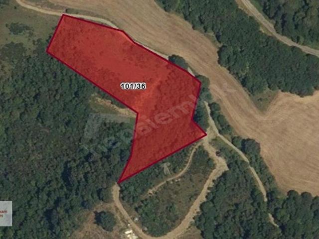 Yalova Merkez, Yalova içerisinde satılık Arsa