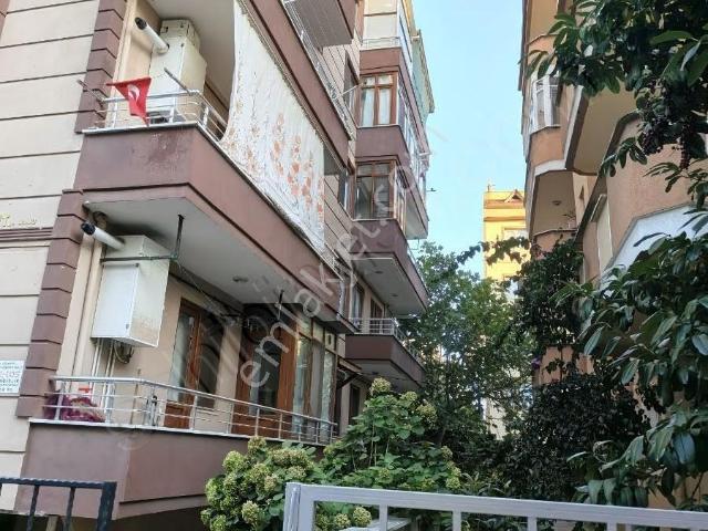 Yalova Merkez, Yalova içerisinde kiralık mülk