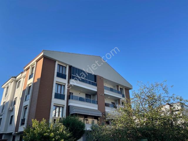 Yalova Belediye sınırı, Yalova Merkez içerisinde kiralık mülk