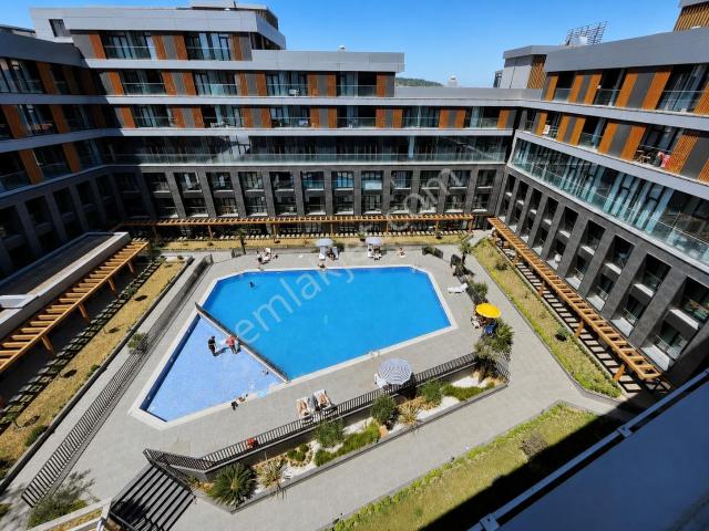 Yalova Merkez, Yalova içerisinde kiralık mülk