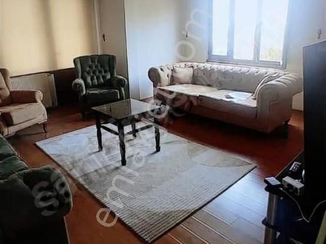 Yalova Merkez, Yalova içerisinde kiralık mülk