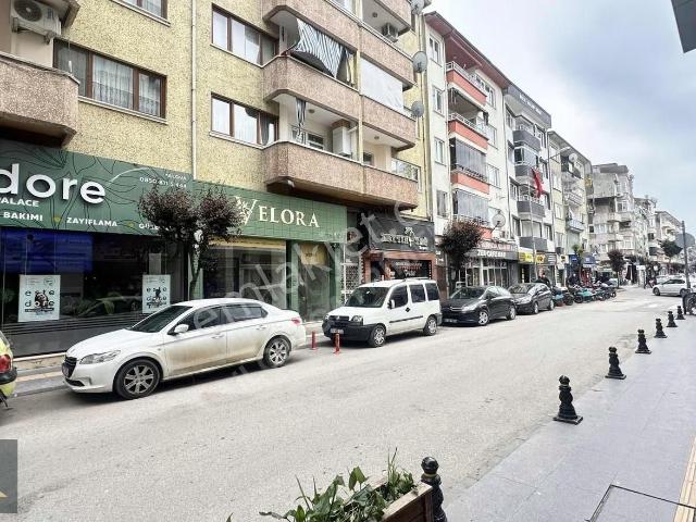 Yalova Merkez, Yalova içerisinde kiralık mülk