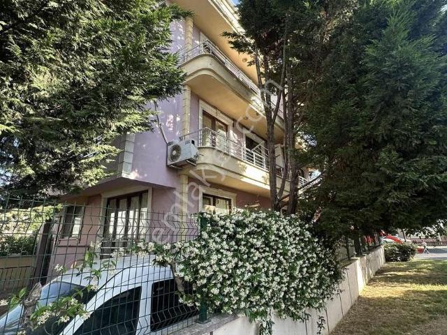 Yalova Merkez, Yalova içerisinde kiralık mülk