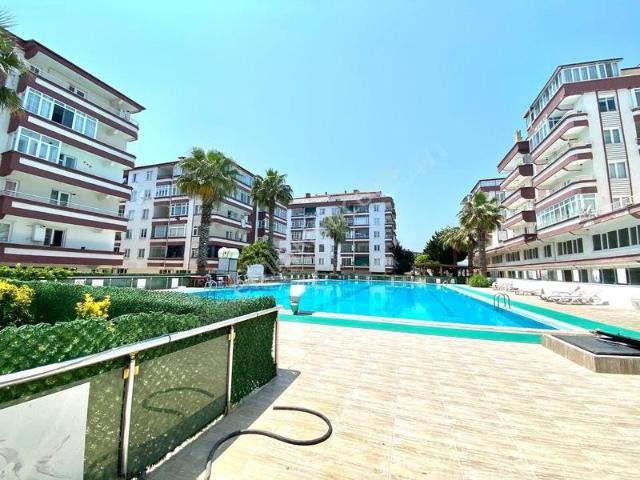 Koru, Çınarcık içerisinde kiralık mülk