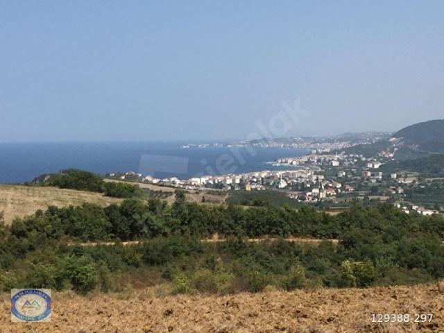 Çinarcik, Yalova içerisinde satılık Arsa